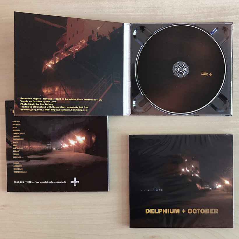 Delphium - October