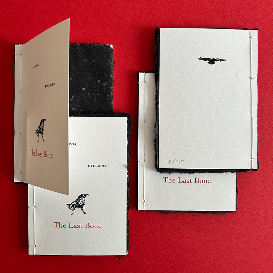 New: Bacovia & Stelaru – The Last Bone